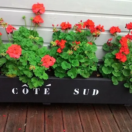 Rdc Les Flots דירה *